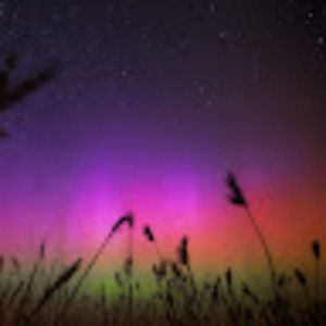 Meet your Posher, Joel